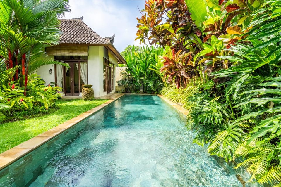 Natural landscape, Swimming pool