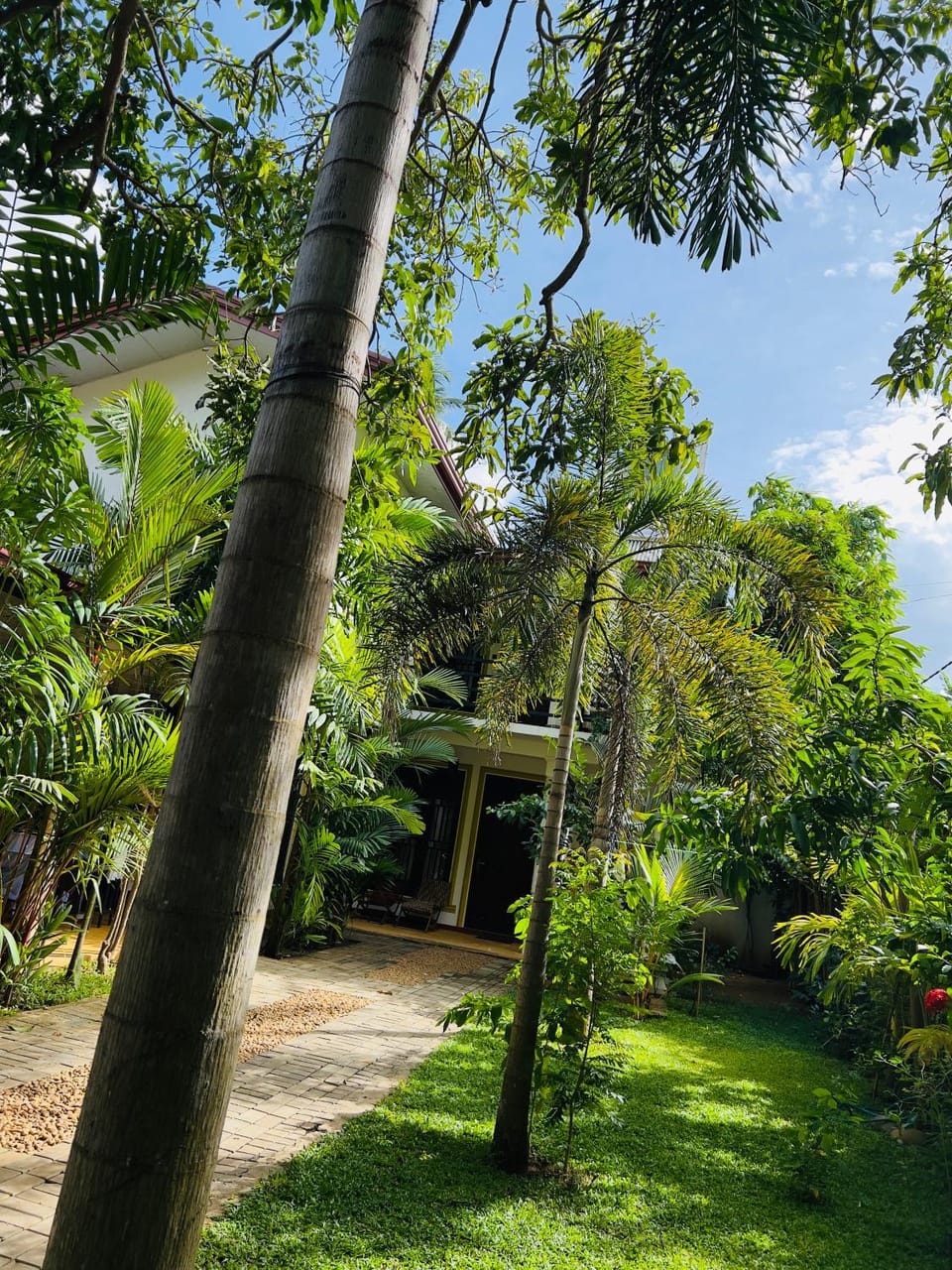 Property building, Garden