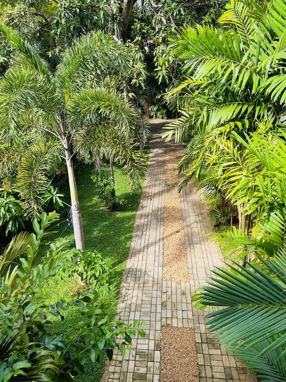 Natural landscape, Garden, Garden view