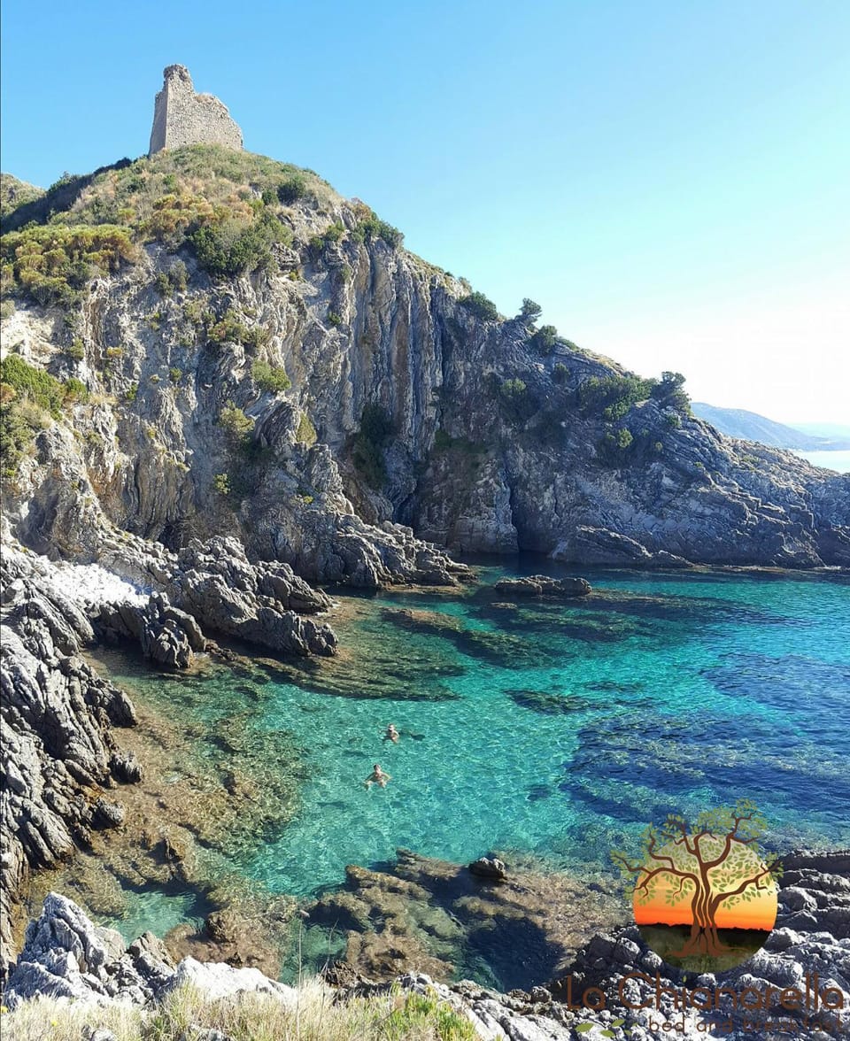 Natural landscape, Beach