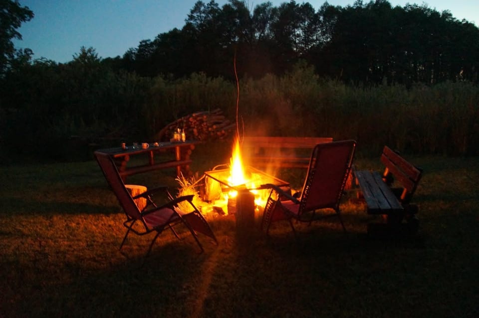 Natural landscape, BBQ facilities, Garden, Food