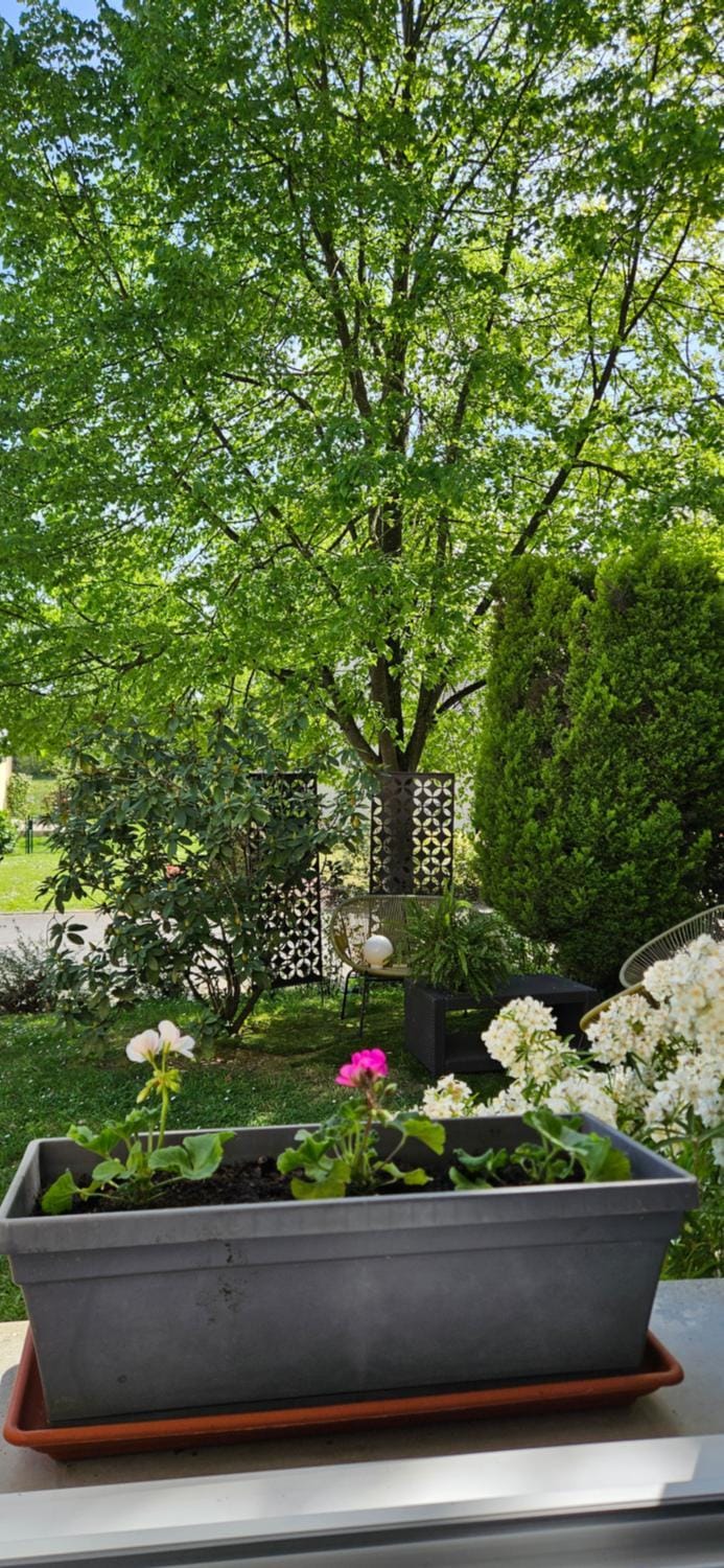 Chambres d'hôtes Les Chênes Bed and Breakfast in Brittany