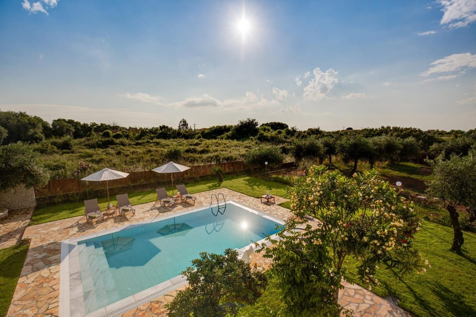 Bird's eye view, Garden, Swimming pool