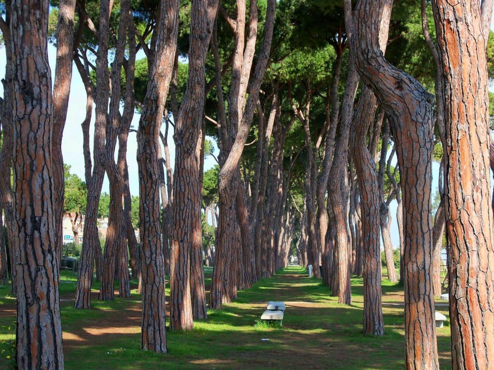 Property building, Nearby landmark, Restaurant/places to eat, Neighbourhood, Natural landscape, Beach