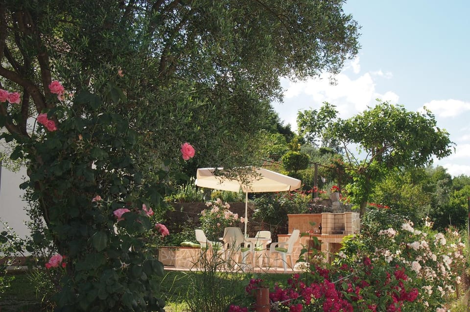 Patio, BBQ facilities, Garden, On site