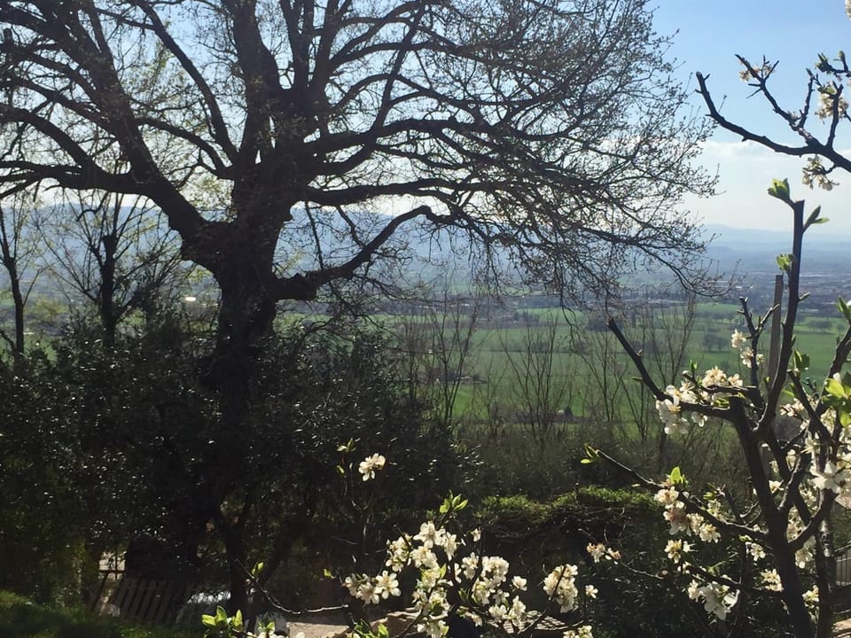 Garden, View (from property/room)