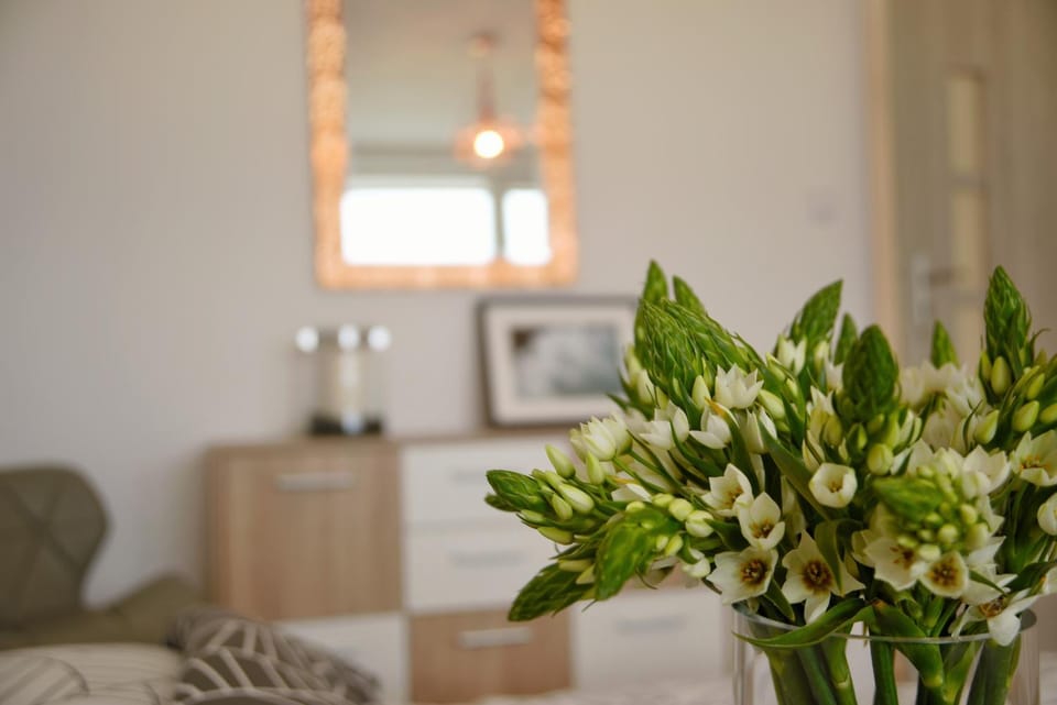 Photo of the whole room, Sea view