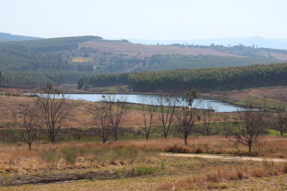 Natural landscape, Lake view