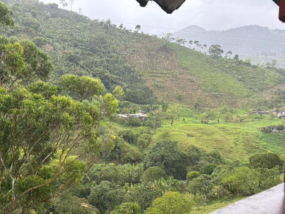 Mountain view