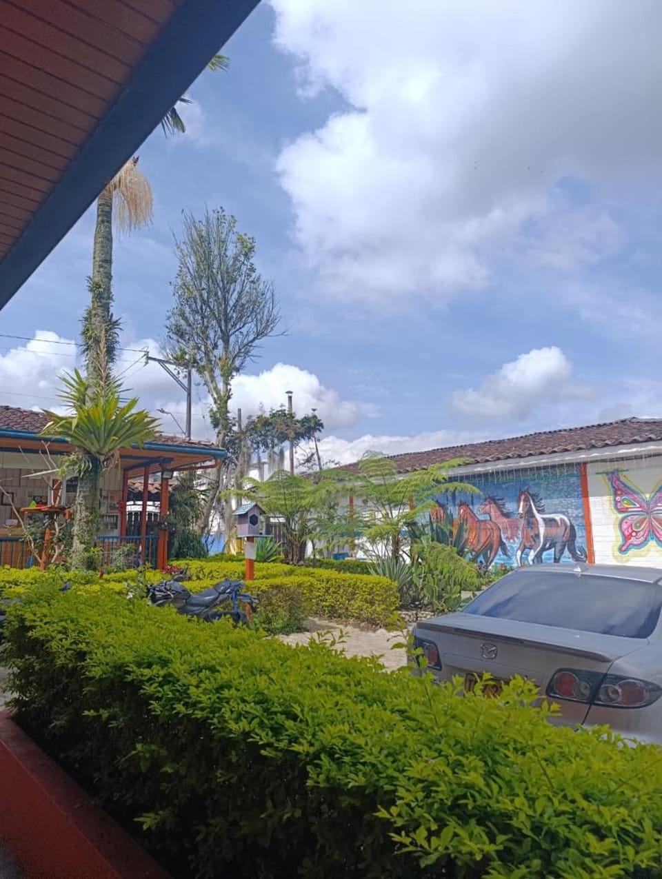 Garden view