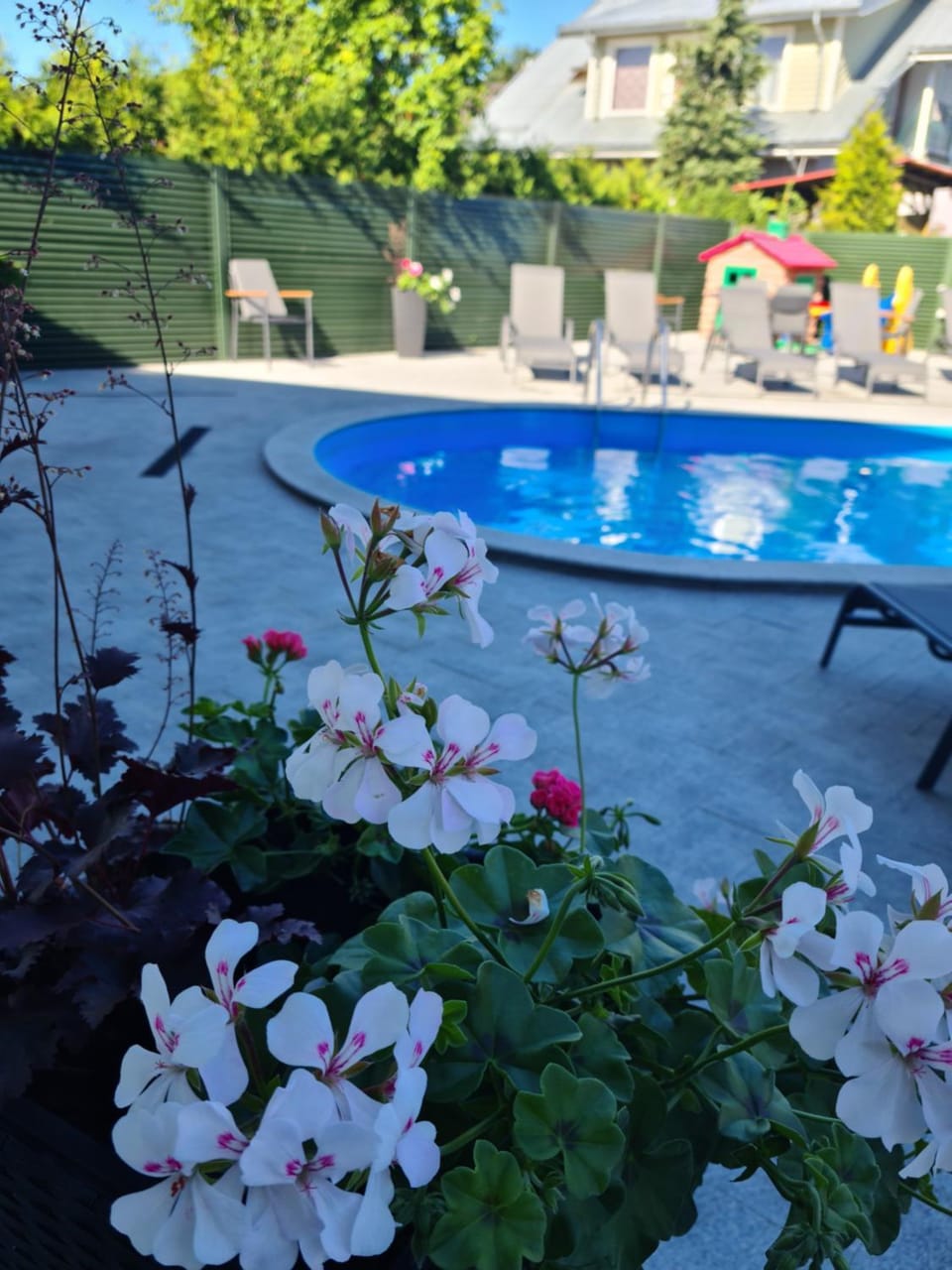 Pool view, Swimming pool