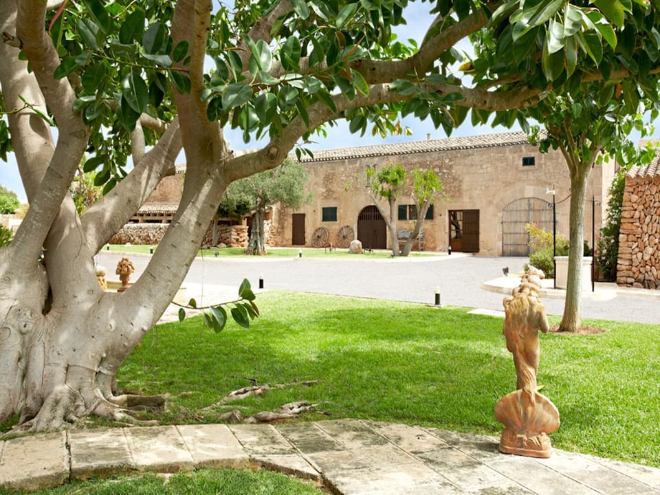 Area and facilities