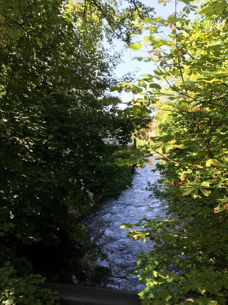 Day, Natural landscape, River view