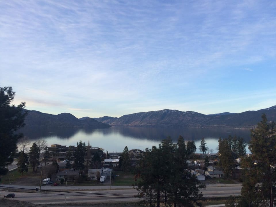 Lake view