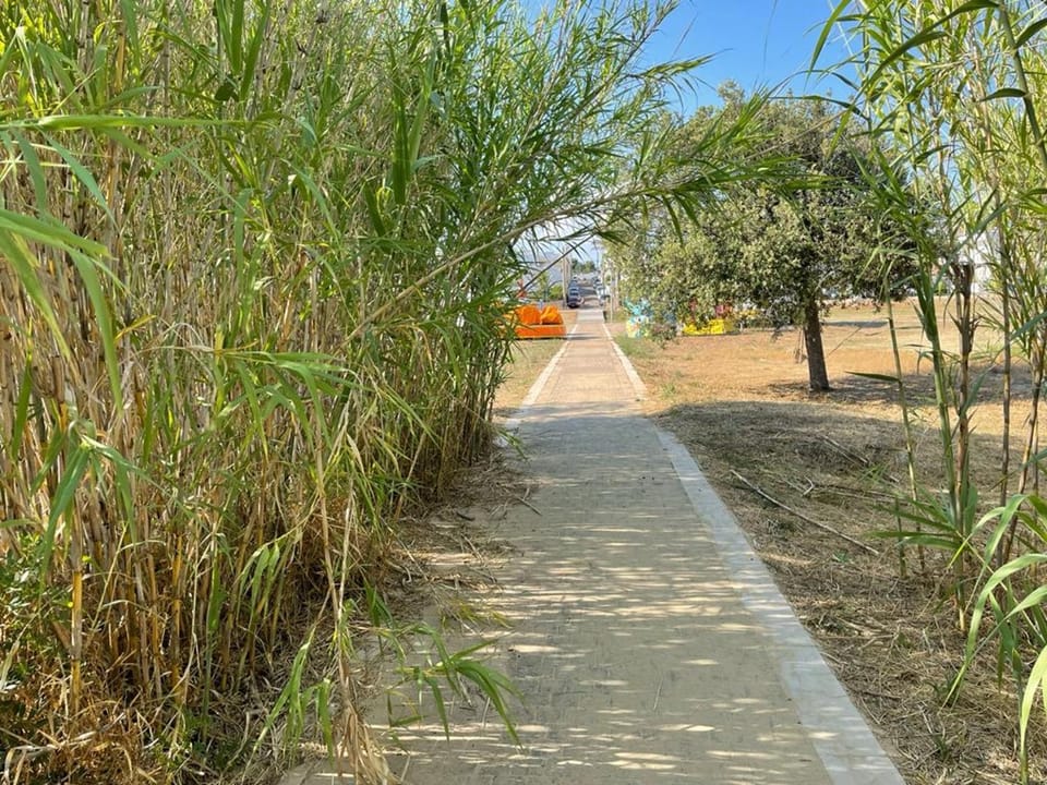 Day, Neighbourhood, Natural landscape