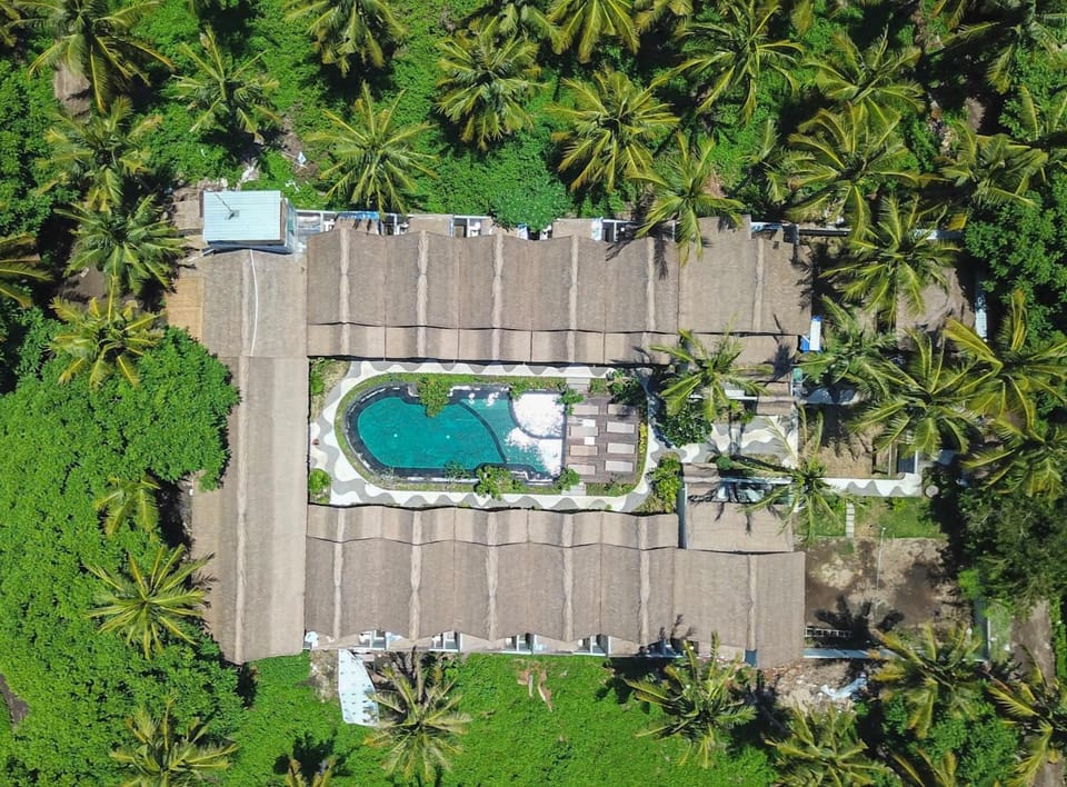 Bird's eye view, Garden, Swimming pool