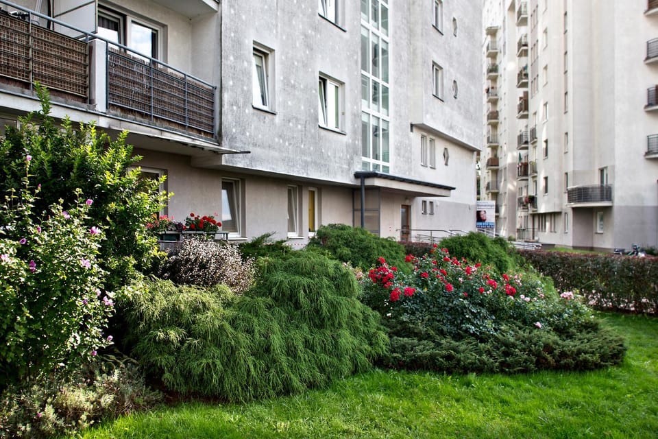 Neighbourhood