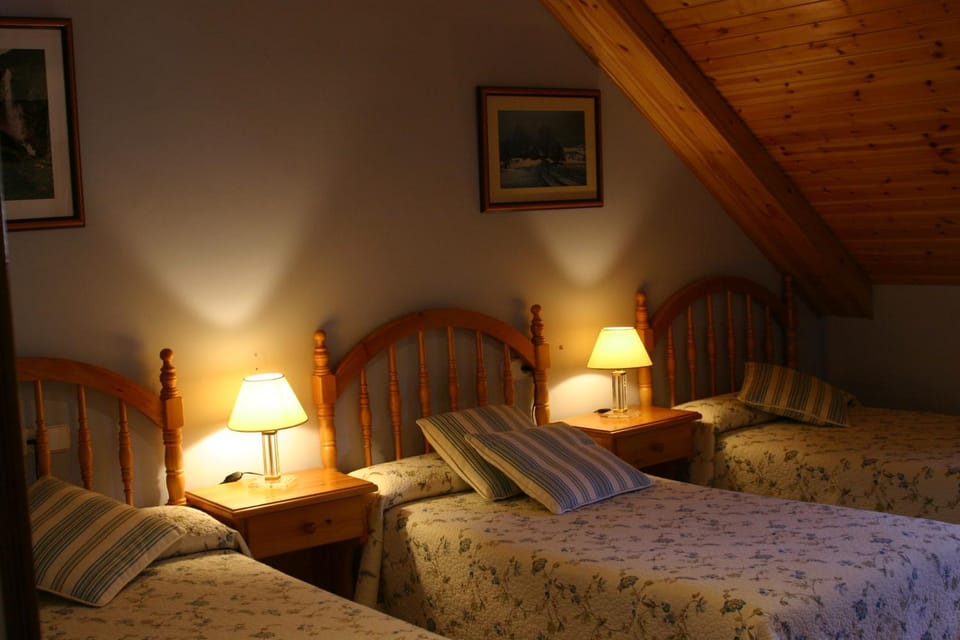 Casa Raspa Bed and Breakfast in Bielsa