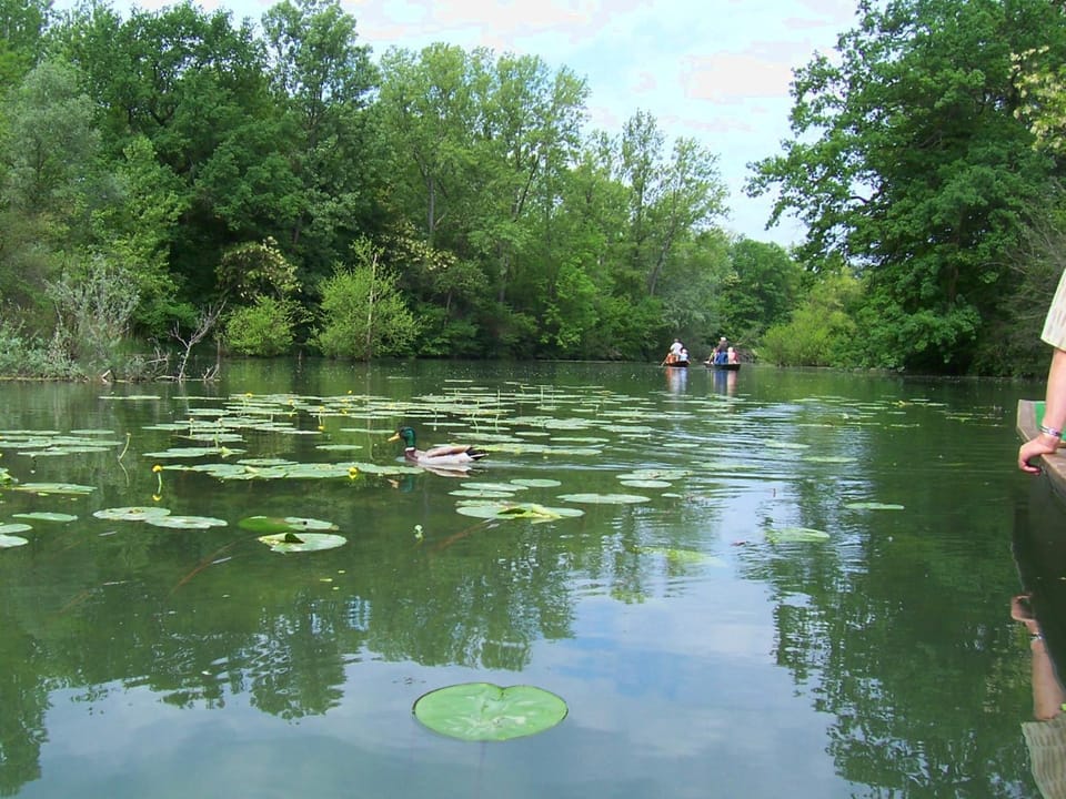 Nearby landmark, Natural landscape, Activities