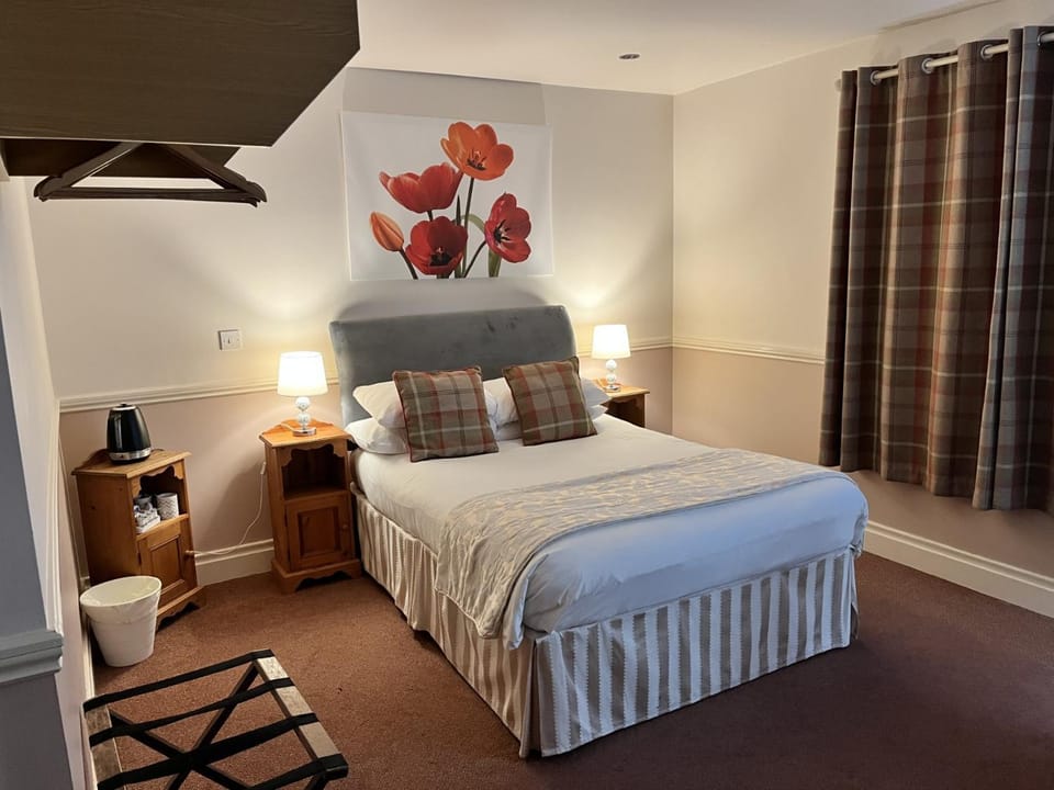 Bed, Photo of the whole room, pet friendly