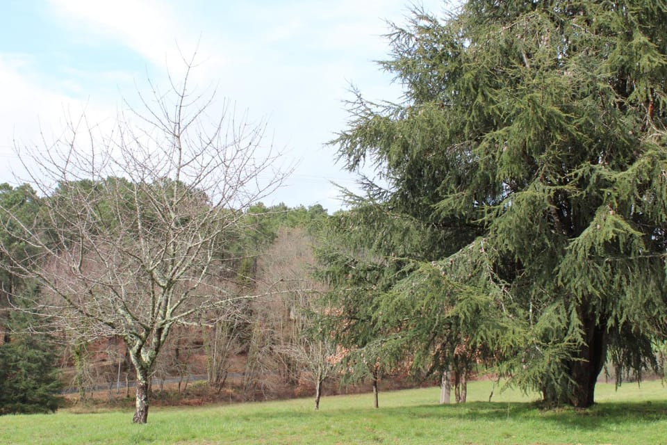 Area and facilities