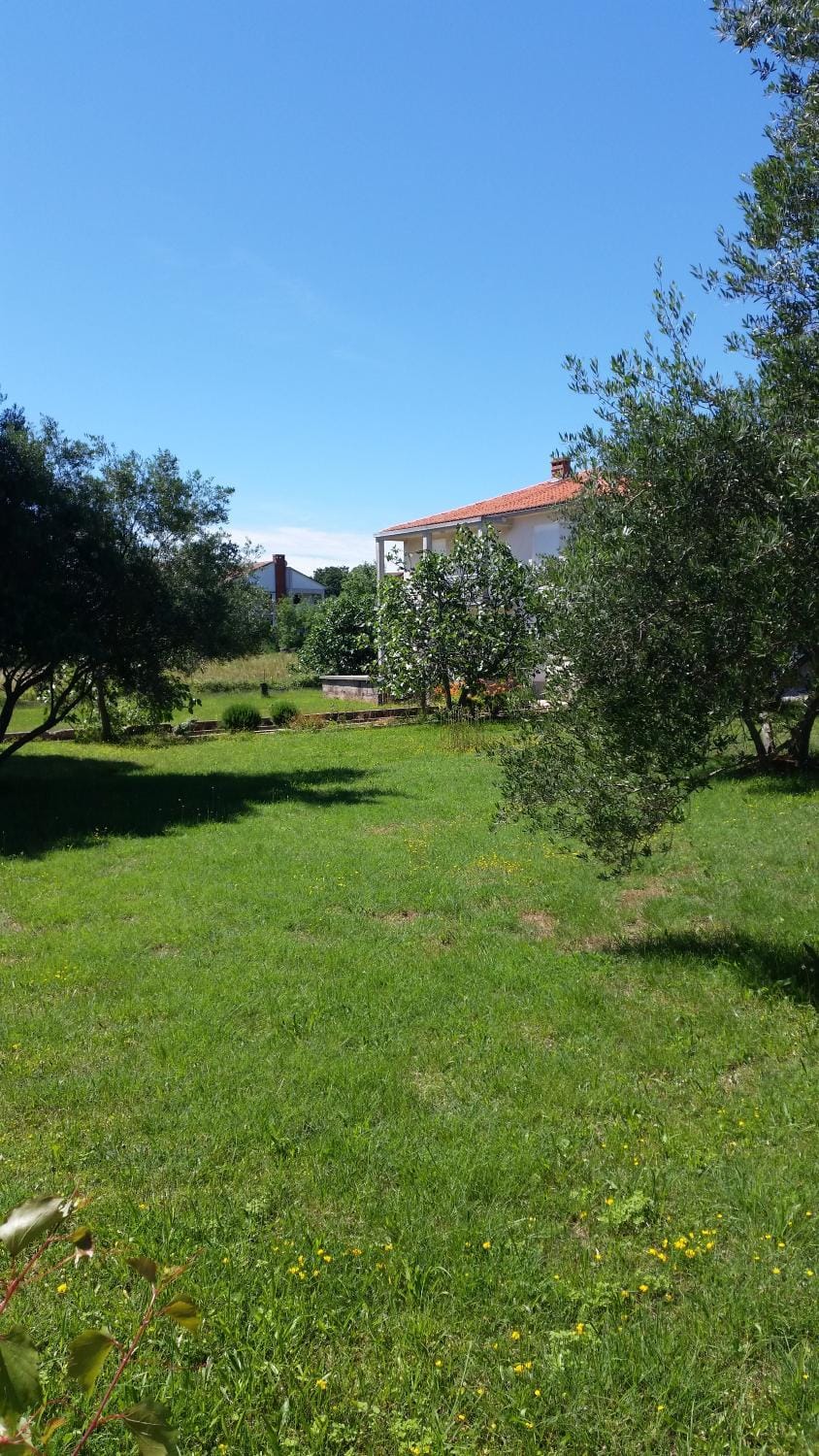 Neighbourhood, Garden