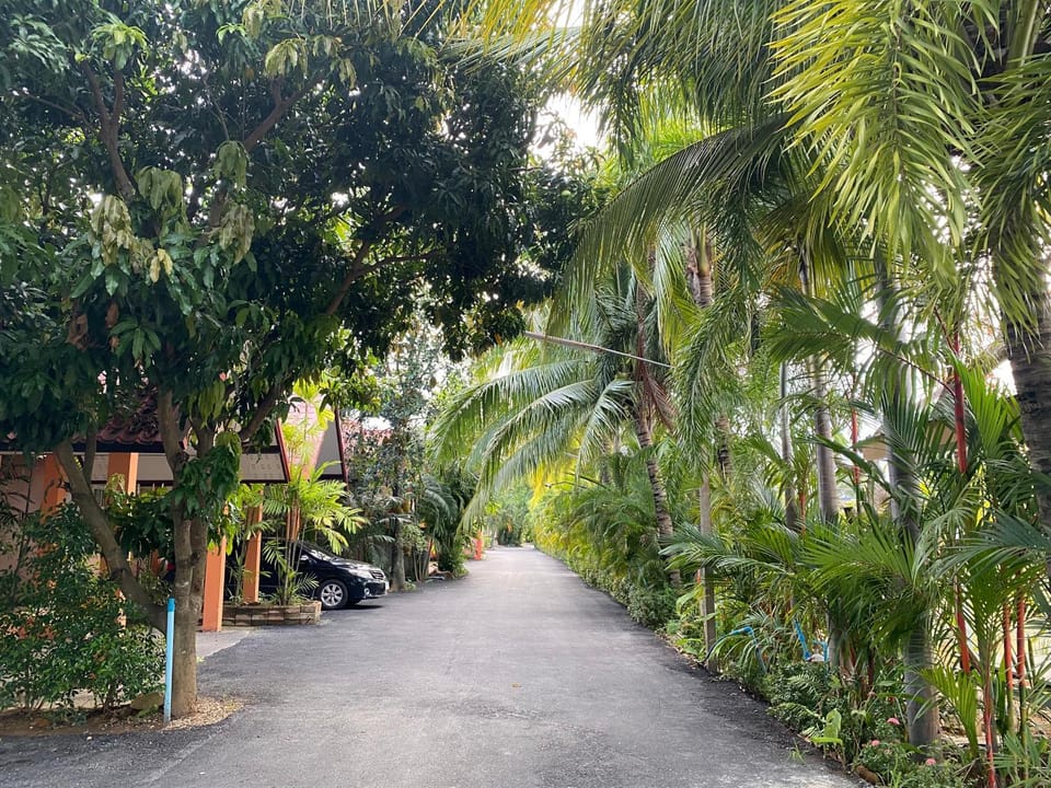 Garden view