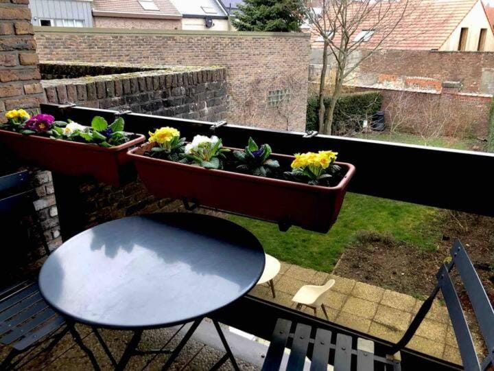 African heritage Tervuren Bed and Breakfast in Flanders