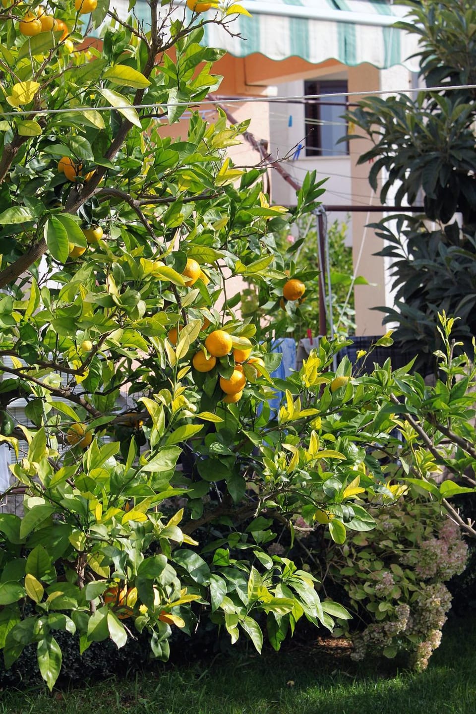 Location, children, Family