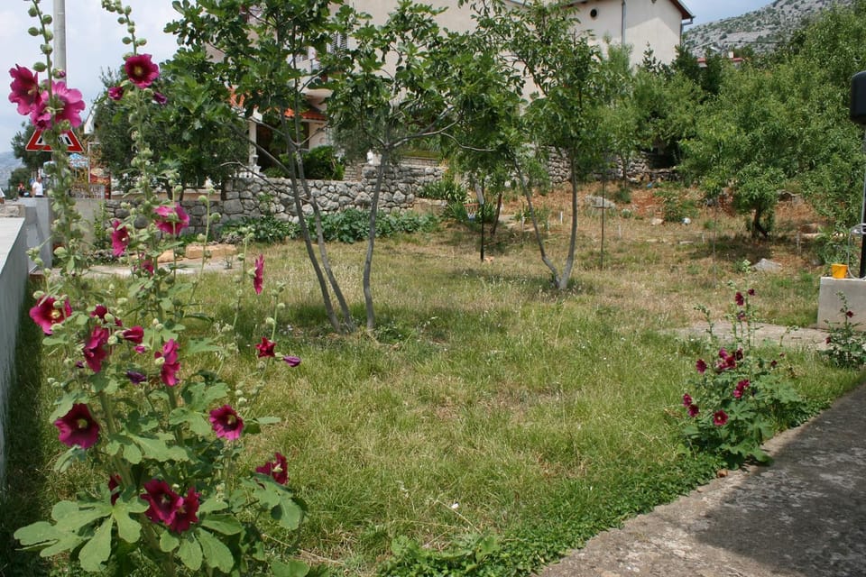 Location, children, Family