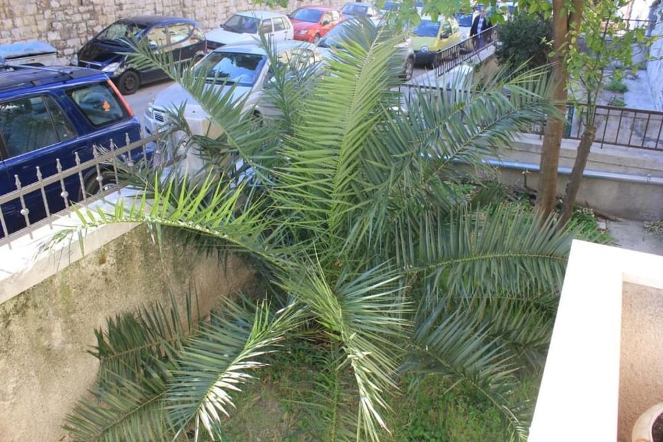 Location, children, Family