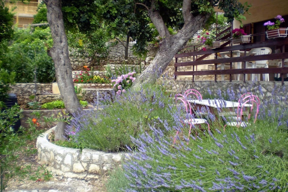 Location, children, Family