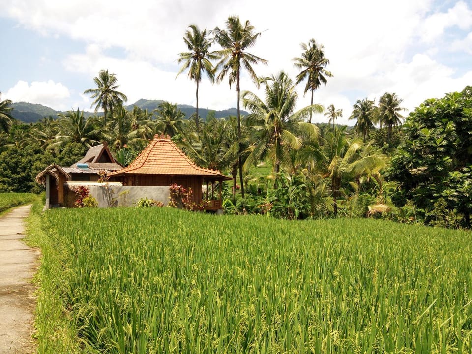 Garden view