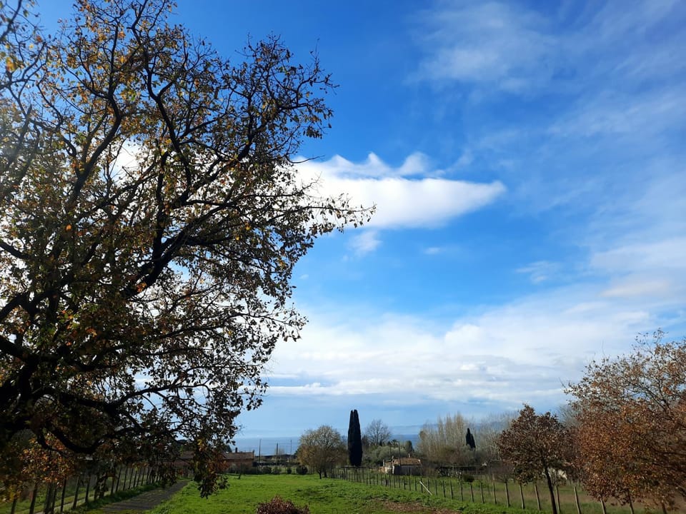 Casa Bella Vista Trevignano Romano House in Lazio