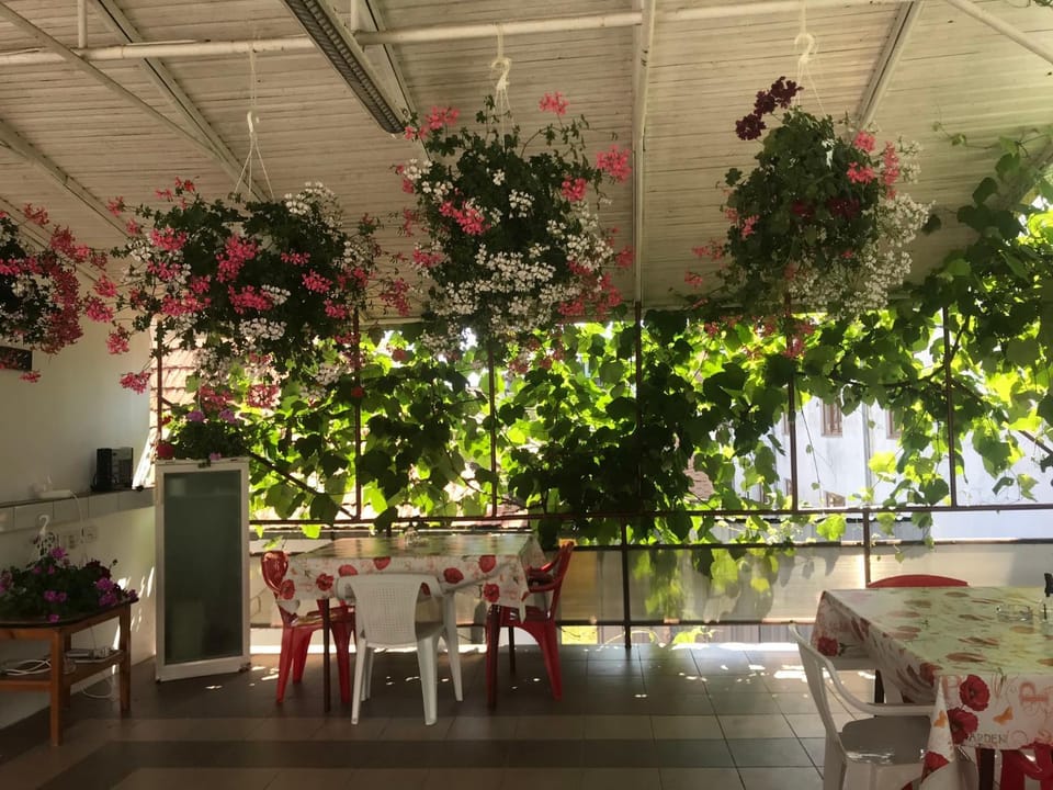 Balcony/Terrace, Dining area