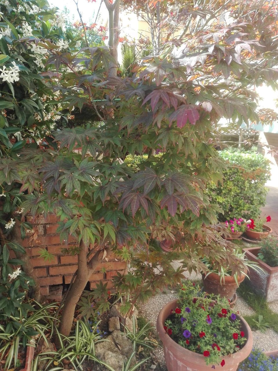 B&B melody Bed and Breakfast in Lazio