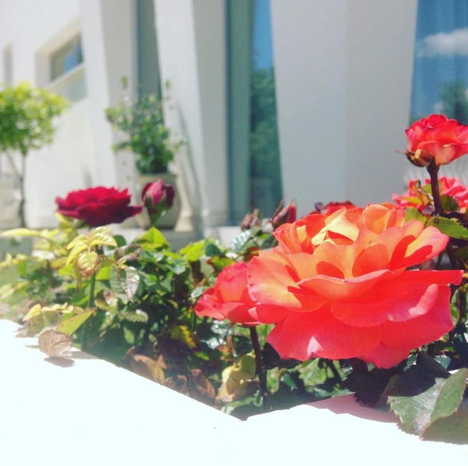 Corte Sveva Affittacamere Bed and Breakfast in Avola