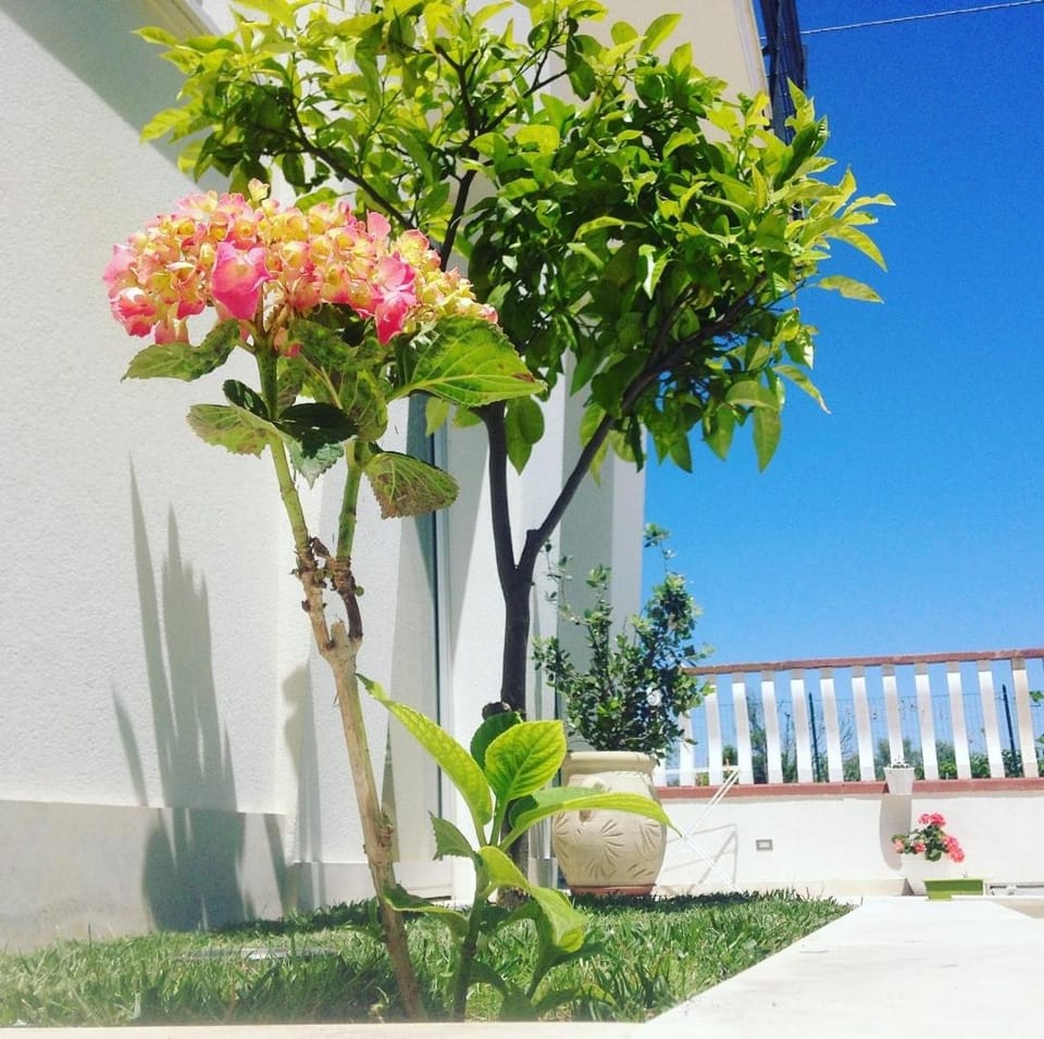 Corte Sveva Affittacamere Bed and Breakfast in Avola