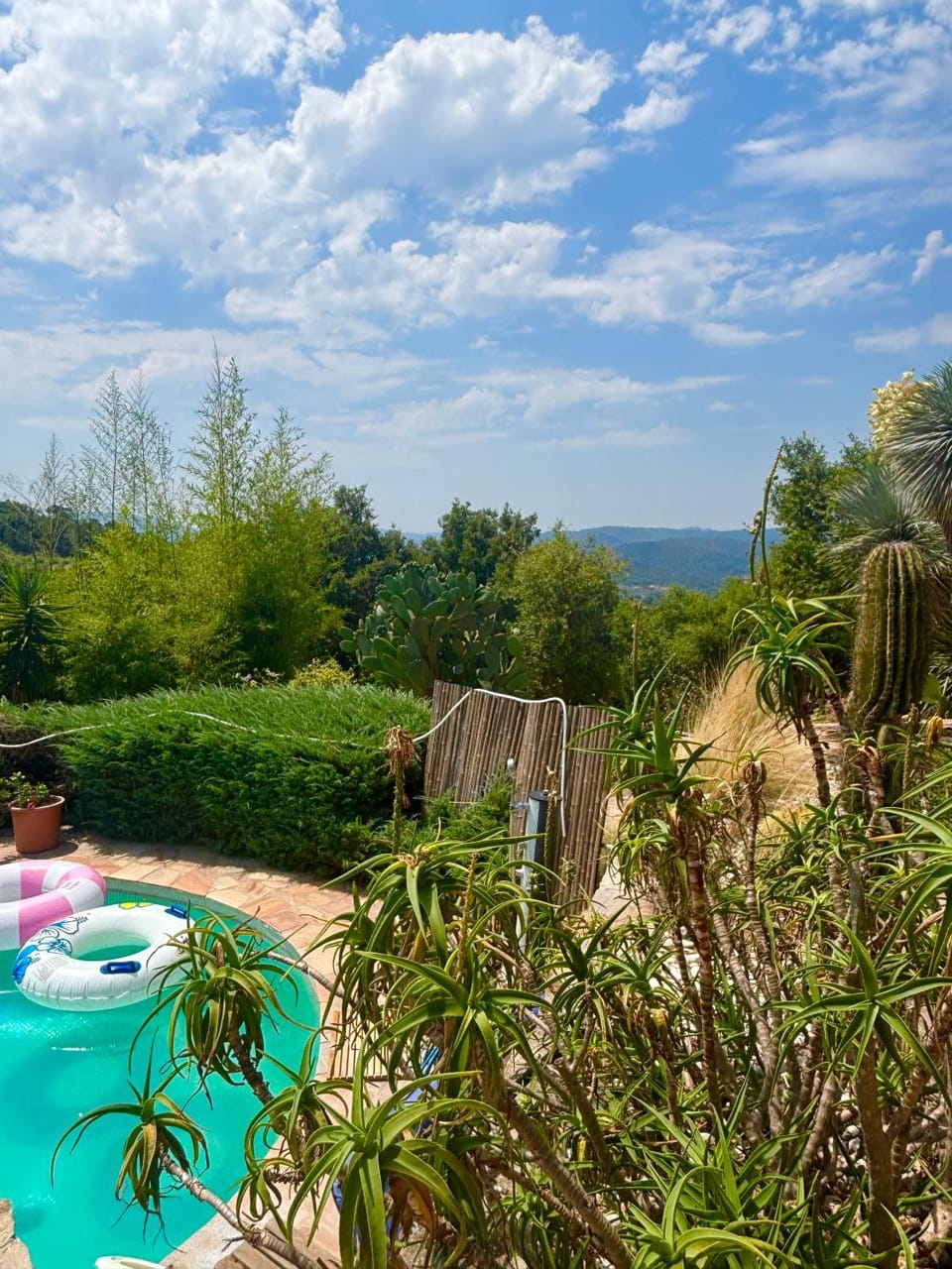 Natural landscape, Garden, Pool view