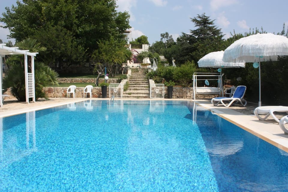 Swimming pool, Swimming pool