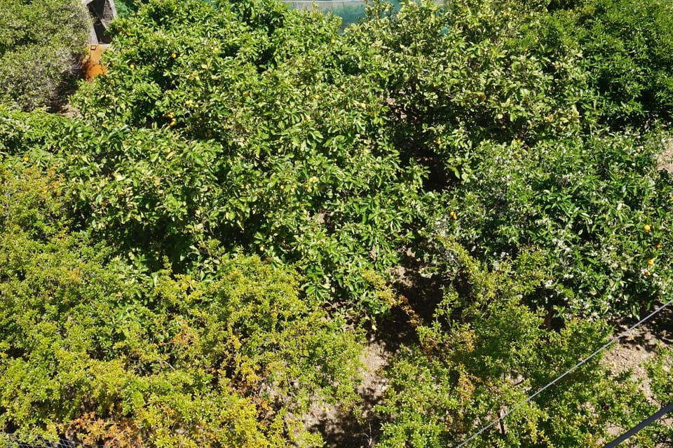 Garden view, Mountain view, Street view