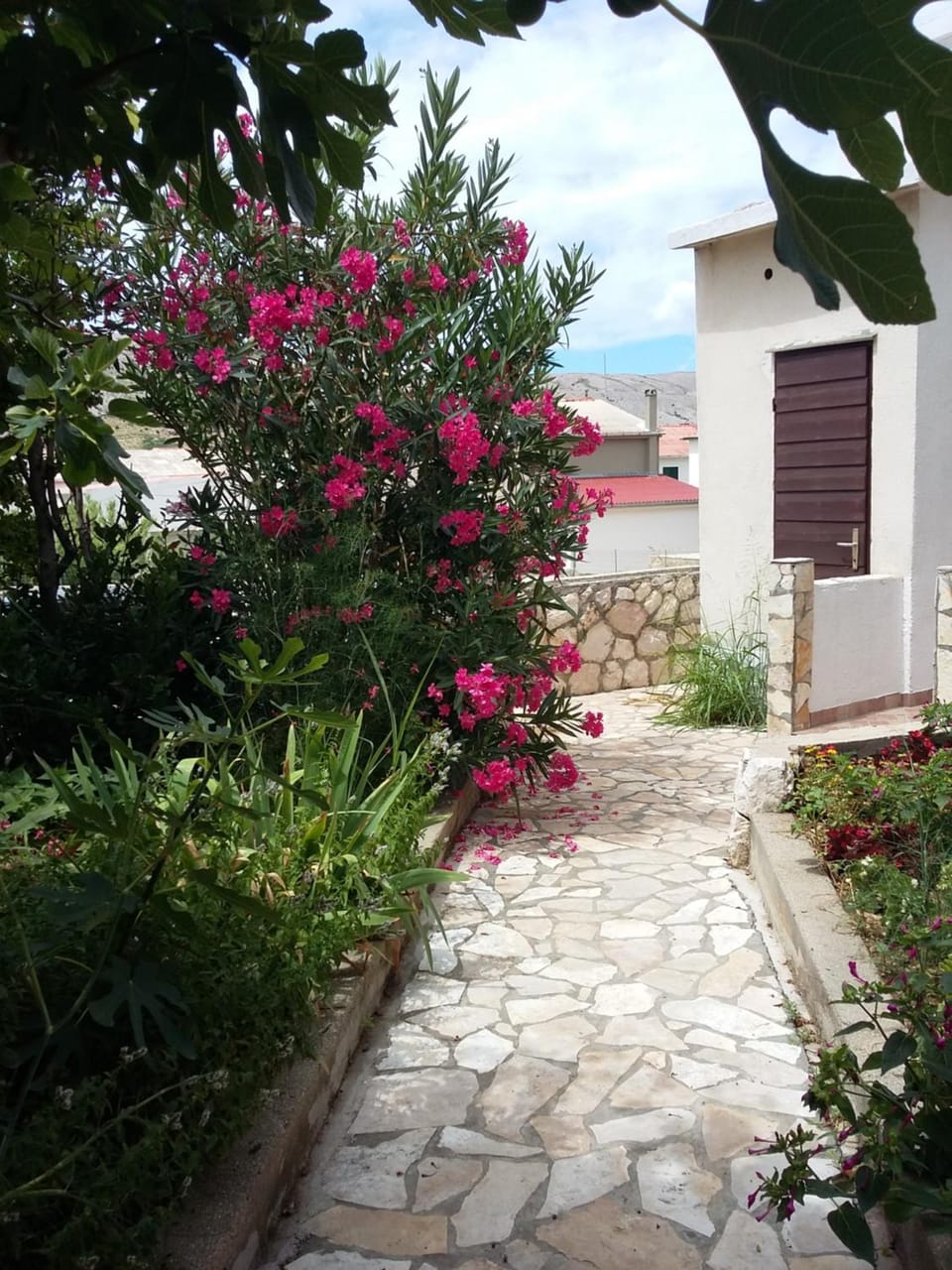 Facade/entrance, Garden