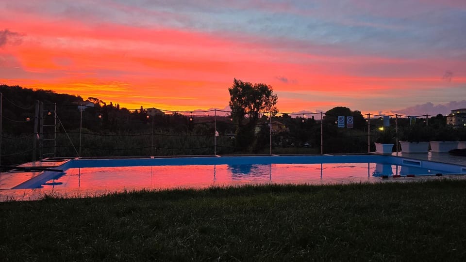 Garden, Swimming pool