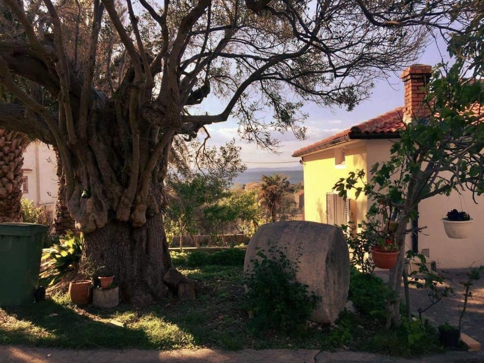 Patio, Neighbourhood, On site, Garden view