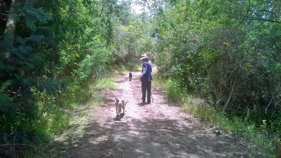 Natural landscape, Activities