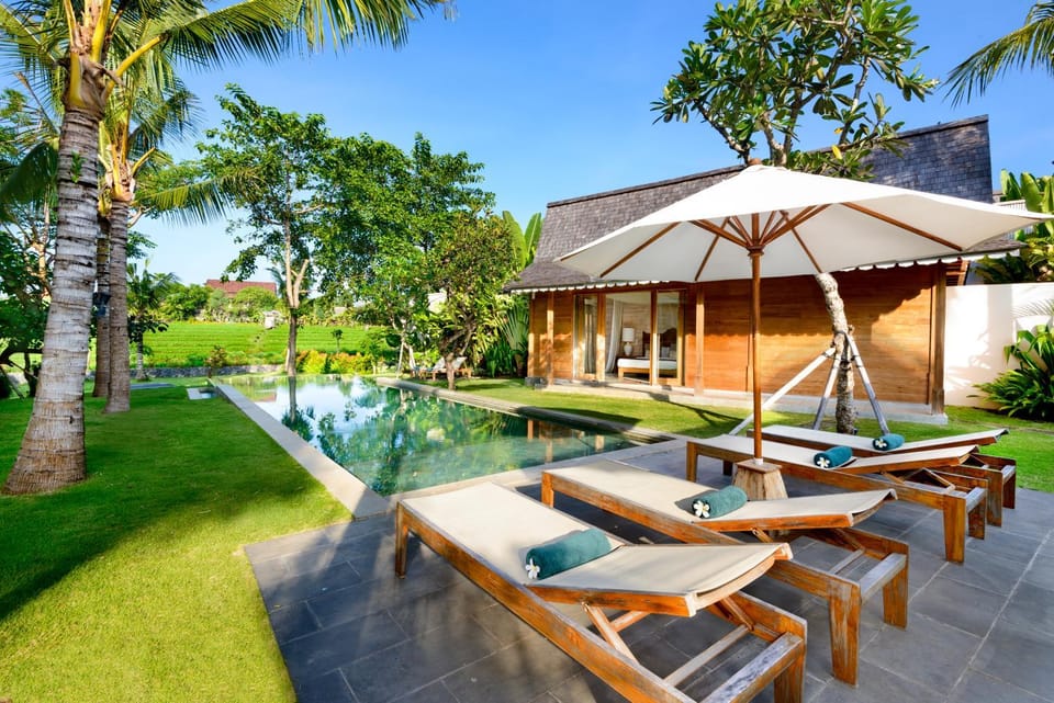 Garden, Swimming pool, sunbed
