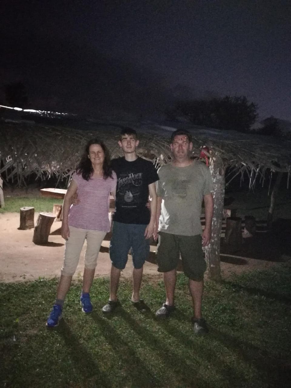 Night, Garden