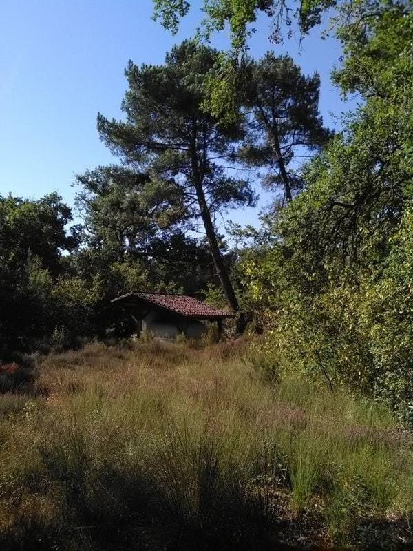 Property building, Garden view