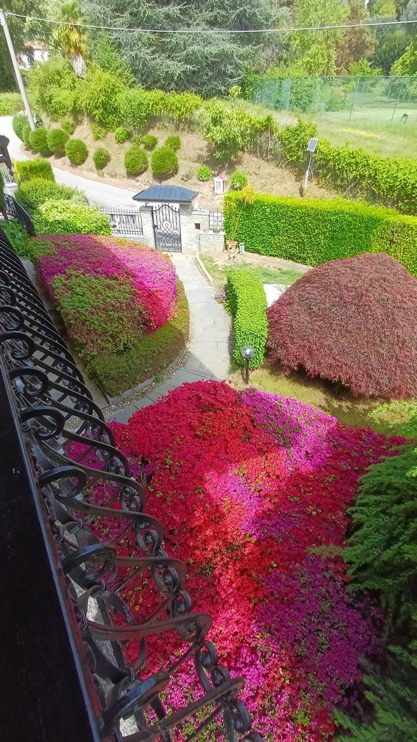 Villa Azalea Resort in Como