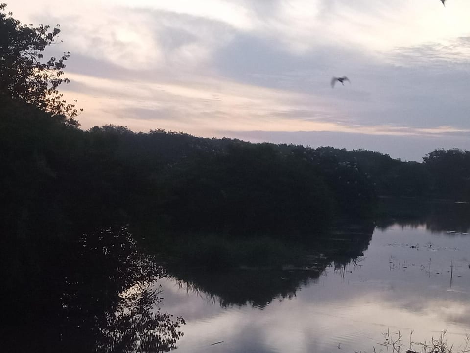 Natural landscape
